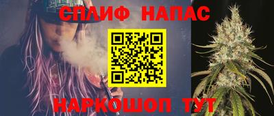 СК Гатчина
