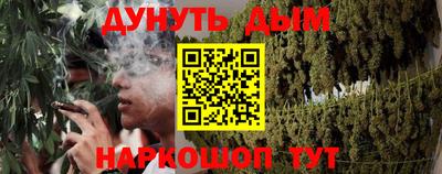 СК Гатчина