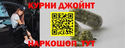 СК Гатчина