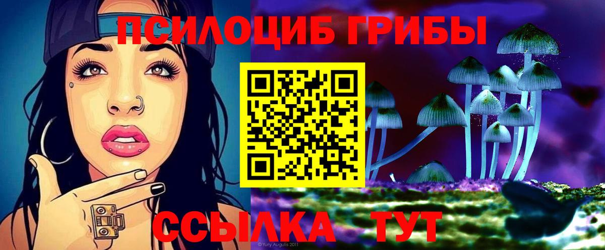 Балашиха  Псилоцибиновые грибы MAGIC MUSHROOMS  Галлюциногенные грибы GOLDEN TEACHER  Вход с VPN 
