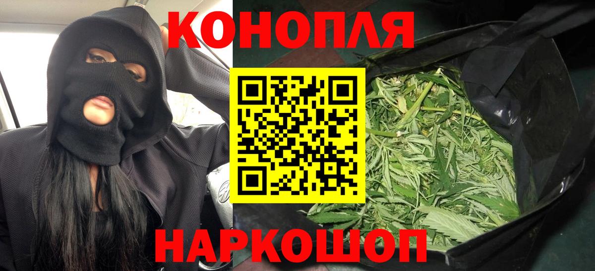 Каннабис сатива Балашиха